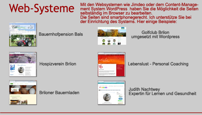 CMS und Websysteme