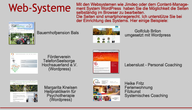 CMS und Websysteme